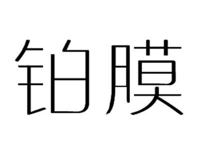 铂膜