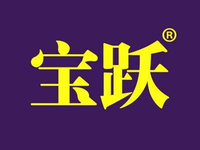 宝跃