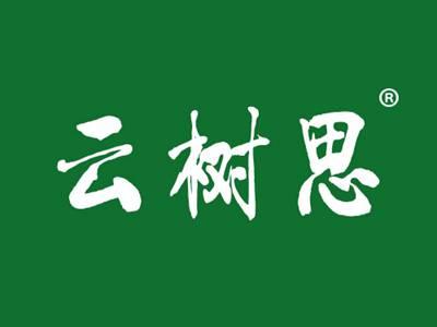 树之思