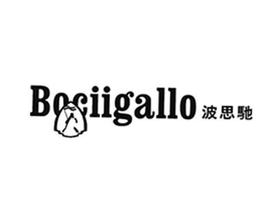 波思驰