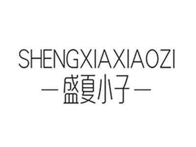 盛夏小子