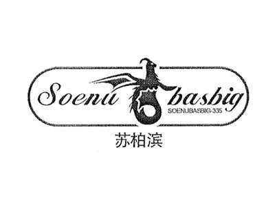 苏柏滨