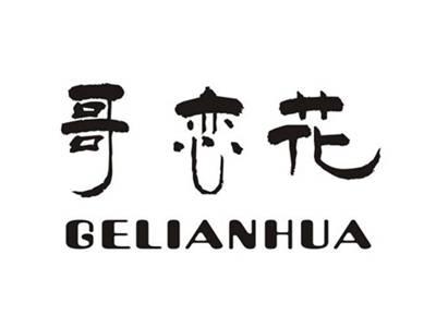 哥恋花