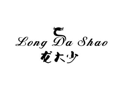 龙大少