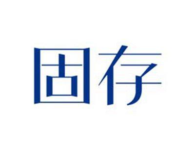 固存