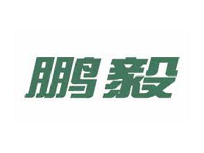 鹏毅