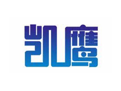 凯鹰