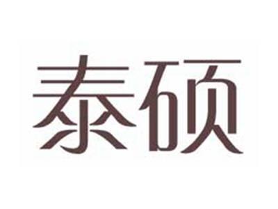 泰硕