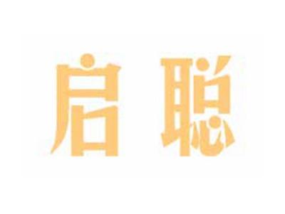 启聪
