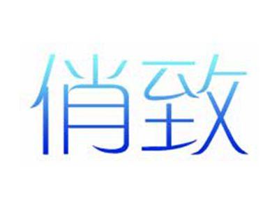 俏致