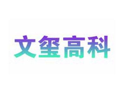 文玺高科