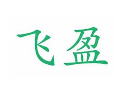 飞盈