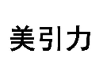美引力