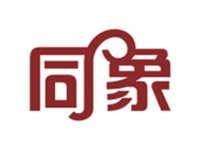 同象