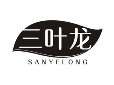 三叶龙