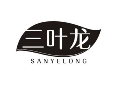 三叶龙