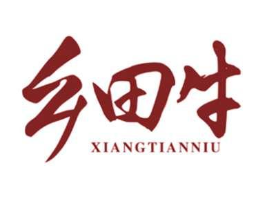 乡田牛