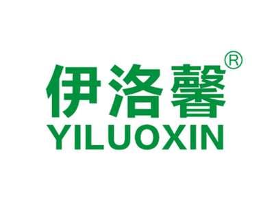 伊洛馨