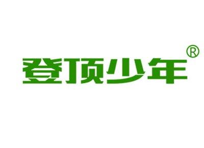 登顶少年
