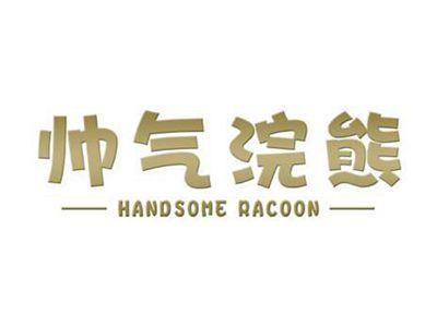 帅气浣熊