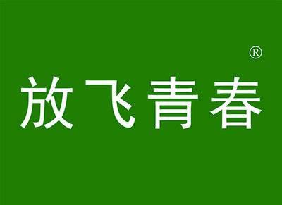 放飞青春