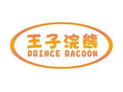 王子浣熊