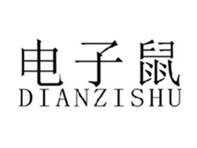 电子鼠
