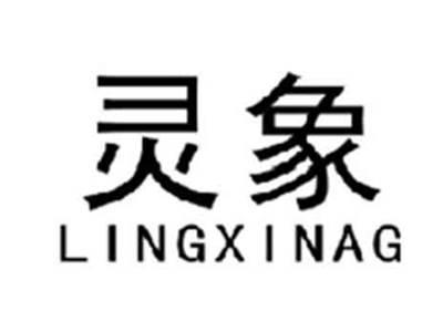 灵象