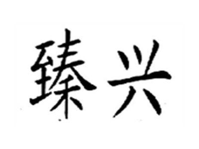 臻兴