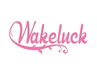 WAKELUCK