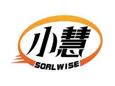 小慧
SORLWISE