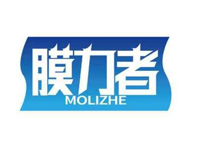膜力者
MOLIZHE