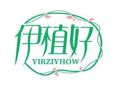 伊植好
YIRZIYHOW