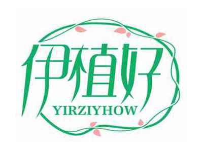 伊植好
YIRZIYHOW