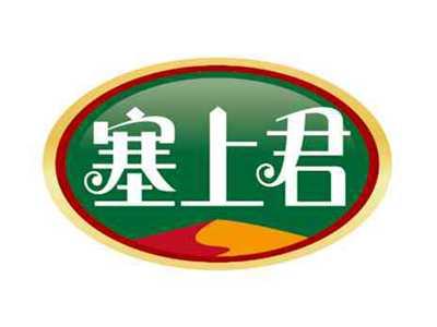 塞上君