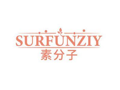 素分子
SURFONDZI