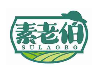 素老伯
SULAOBO