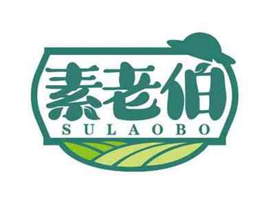 素老伯
SULAOBO