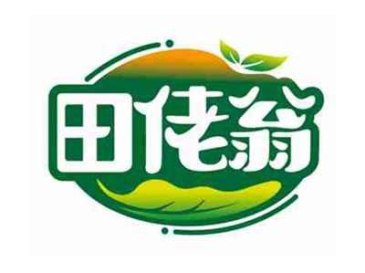 田佬翁