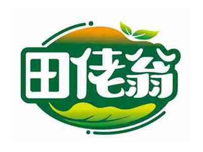 田佬翁