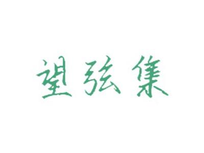 望弦集