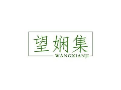望娴集