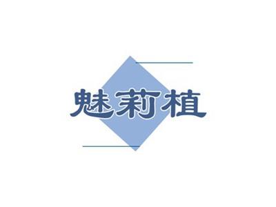 魅莉植