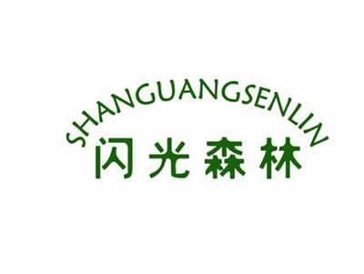 闪光森林