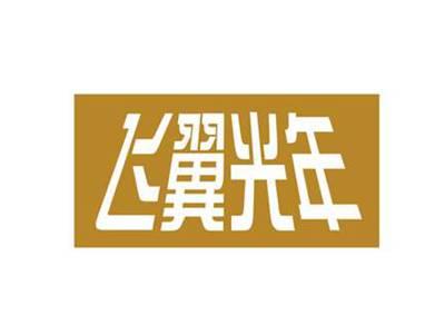 飞翼光年