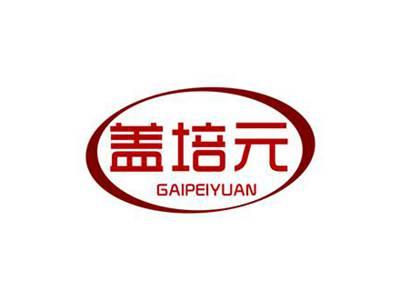 盖培元