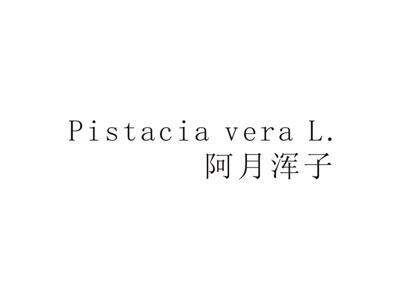 阿月浑子PISTACIAVERAL