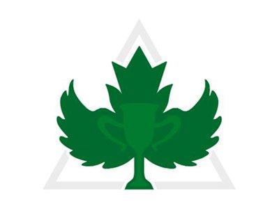 枫叶