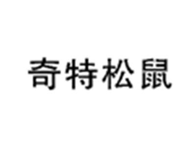 奇特松鼠