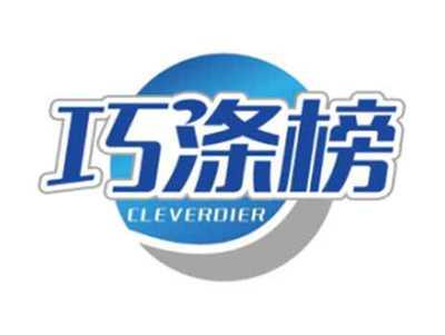 巧涤榜CLEVERDIER